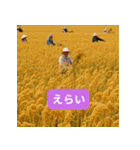 沖縄弁スタンプ超めんそーれ（個別スタンプ：17）