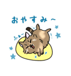 福を呼ぶ！！かぎしっぽねこ大ちゃんの夏（個別スタンプ：4）