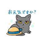 福を呼ぶ！！かぎしっぽねこ大ちゃんの夏（個別スタンプ：9）