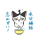 福を呼ぶ！！かぎしっぽねこ大ちゃんの夏（個別スタンプ：10）