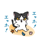 福を呼ぶ！！かぎしっぽねこ大ちゃんの夏（個別スタンプ：13）