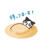 福を呼ぶ！！かぎしっぽねこ大ちゃんの夏（個別スタンプ：17）