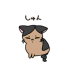 福を呼ぶ！！かぎしっぽねこ大ちゃんの夏（個別スタンプ：20）