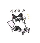 福を呼ぶ！！かぎしっぽねこ大ちゃんの夏（個別スタンプ：21）
