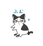福を呼ぶ！！かぎしっぽねこ大ちゃんの夏（個別スタンプ：22）