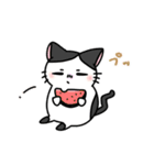 福を呼ぶ！！かぎしっぽねこ大ちゃんの夏（個別スタンプ：23）