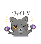 福を呼ぶ！！かぎしっぽねこ大ちゃんの夏（個別スタンプ：24）