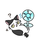 福を呼ぶ！！かぎしっぽねこ大ちゃんの夏（個別スタンプ：33）