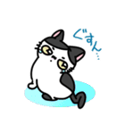 福を呼ぶ！！かぎしっぽねこ大ちゃんの夏（個別スタンプ：36）