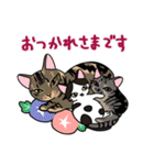 福を呼ぶ！！かぎしっぽねこ大ちゃんの夏（個別スタンプ：37）