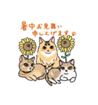 福を呼ぶ！！かぎしっぽねこ大ちゃんの夏（個別スタンプ：38）