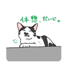 福を呼ぶ！！かぎしっぽねこ大ちゃんの夏（個別スタンプ：39）