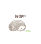 ハリネズミと推し活*緑（個別スタンプ：30）