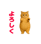 動く！おデブねこ（個別スタンプ：2）