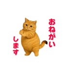 動く！おデブねこ（個別スタンプ：3）
