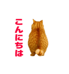 動く！おデブねこ（個別スタンプ：6）