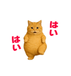 動く！おデブねこ（個別スタンプ：8）