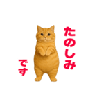 動く！おデブねこ（個別スタンプ：10）