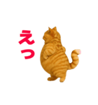 動く！おデブねこ（個別スタンプ：12）