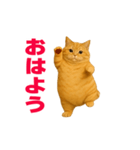 動く！おデブねこ（個別スタンプ：14）