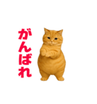 動く！おデブねこ（個別スタンプ：15）