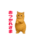 動く！おデブねこ（個別スタンプ：17）