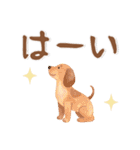 ふんわりかわいい❤️日常会話（個別スタンプ：7）