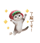 かわいいスイカ帽ねこ 使える 状況＆日常（個別スタンプ：3）