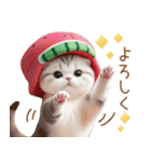 かわいいスイカ帽ねこ 使える 状況＆日常（個別スタンプ：12）