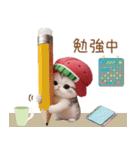 かわいいスイカ帽ねこ 使える 状況＆日常（個別スタンプ：18）