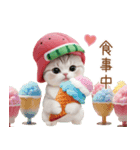 かわいいスイカ帽ねこ 使える 状況＆日常（個別スタンプ：19）
