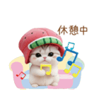 かわいいスイカ帽ねこ 使える 状況＆日常（個別スタンプ：20）
