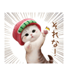 かわいいスイカ帽ねこ 使える 状況＆日常（個別スタンプ：23）
