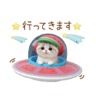 かわいいスイカ帽ねこ 使える 状況＆日常（個別スタンプ：25）