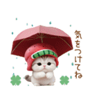 かわいいスイカ帽ねこ 使える 状況＆日常（個別スタンプ：27）
