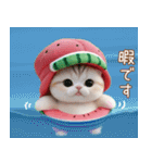 かわいいスイカ帽ねこ 使える 状況＆日常（個別スタンプ：29）