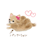 犬さん♡猫さん♡のスタンプ（個別スタンプ：8）