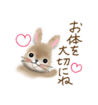犬さん♡猫さん♡のスタンプ（個別スタンプ：34）
