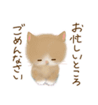 犬さん♡猫さん♡のスタンプ（個別スタンプ：40）