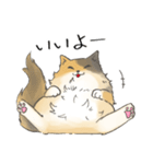 日常使いの長毛猫（個別スタンプ：3）