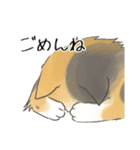 日常使いの長毛猫（個別スタンプ：4）