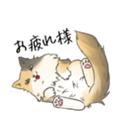 日常使いの長毛猫（個別スタンプ：10）
