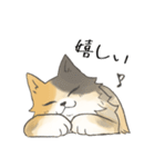 日常使いの長毛猫（個別スタンプ：13）