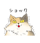 日常使いの長毛猫（個別スタンプ：15）