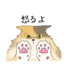 日常使いの長毛猫（個別スタンプ：16）