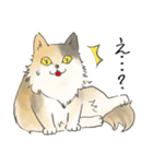 日常使いの長毛猫（個別スタンプ：17）