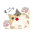 日常使いの長毛猫（個別スタンプ：21）