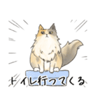 日常使いの長毛猫（個別スタンプ：23）