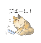 日常使いの長毛猫（個別スタンプ：24）