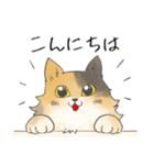 日常使いの長毛猫（個別スタンプ：26）
